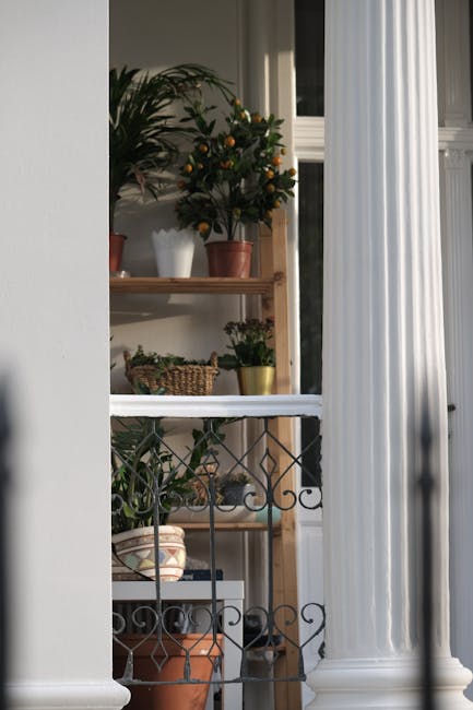 A view through a decorative black wrought iron balcony railing featuring intricate scrollwork, revealing an interior space with white vertical blinds partially drawn to the side. Behind the railing, a wooden shelf holds several potted plants, including a large orange tree with small citrus fruits, a leafy green houseplant in a white pot, and smaller pots in terracotta and metallic gold. The indoor space has a neutral color palette, with the focus on the lush greenery and the textures of the plants and pots. The scene is softly lit, highlighting the vibrant foliage and creating a cozy, well-maintained indoor garden atmosphere, as promoted by Gardeners Catford in their Catford Bridge terrace garden guide SE6.