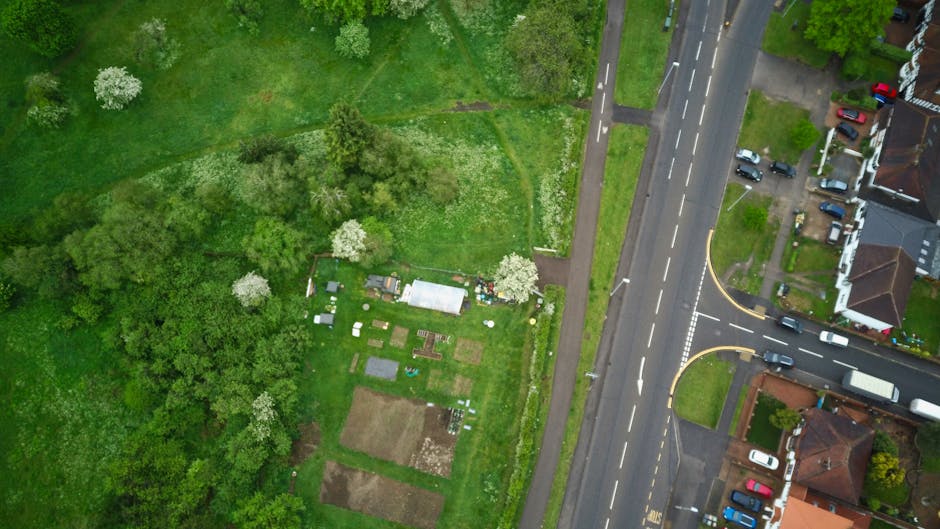 A landscaped community garden at Mountsfield Park featuring a central apple tree laden with ripe, reddish apples. The tree is surrounded by lush green shrubbery and vegetable beds filled with leafy greens, corn, and other seasonal crops. To the left, a gravel pathway runs alongside a neatly trimmed hedge, leading toward small greenhouses and garden sheds in the background, with tools and gardening equipment visible nearby. The soil of the flower and vegetable beds appears moist and well-tended, with some areas bordered by wooden planks and concrete blocks for organization. On the right, a small outdoor seating area with plastic chairs and a table overlooks the garden, set against a backdrop of tall trees with dense foliage providing shade. The scene is evenly lit by soft natural light, indicating a mild, overcast day, with ongoing garden maintenance activities such as watering, pruning, or planting evident, reflecting the work of Gardeners Catford in maintaining this vibrant community space.